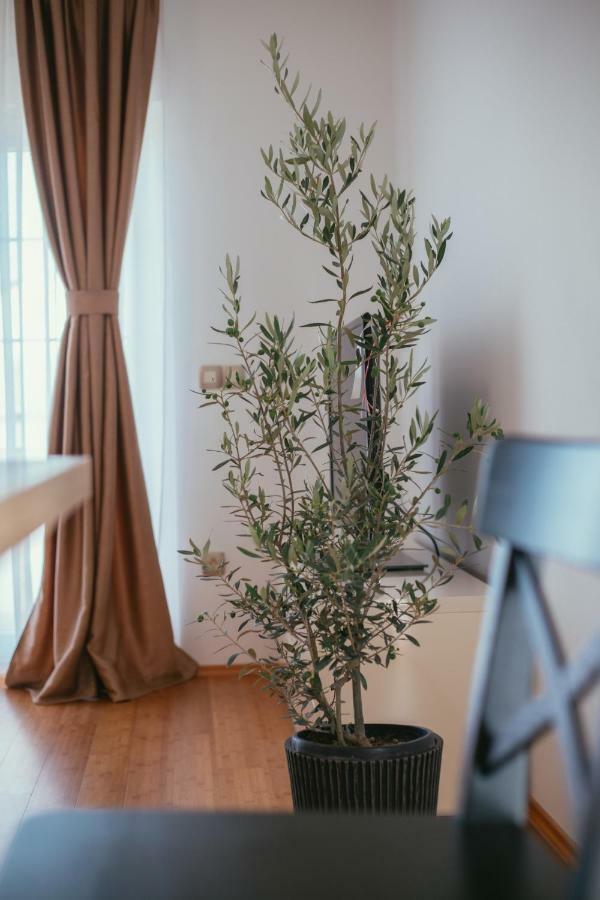 Maslina & Lavanda Podstrana Eksteriør bilde
