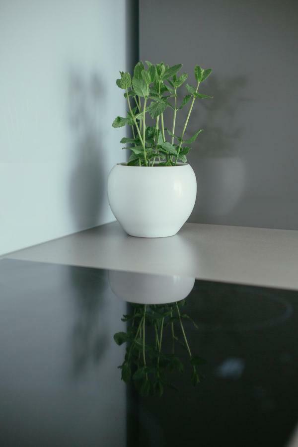 Maslina & Lavanda Podstrana Eksteriør bilde